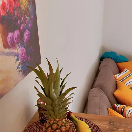 Apartment Dragam *